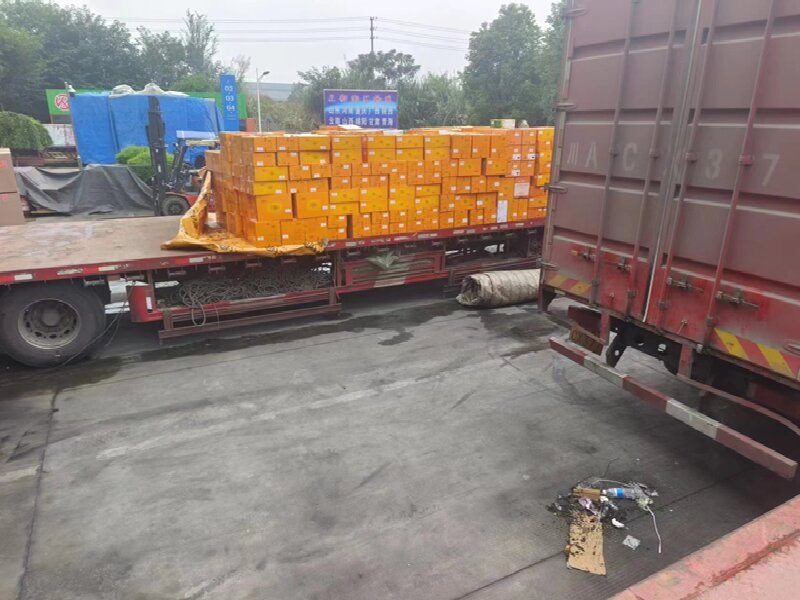 成都到湯原物流公司